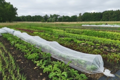 Der Garten beim Gut Haidehof