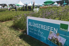 Ökofeldtage - Blühstreifen